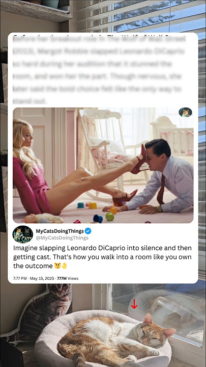 Before her breakout role in The Wolf of Wall Street (2013), Margot Robbie slapped Leonardo DiCaprio