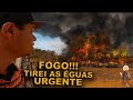 Fogo na Fazenda - Tirei as Éguas Urgente -