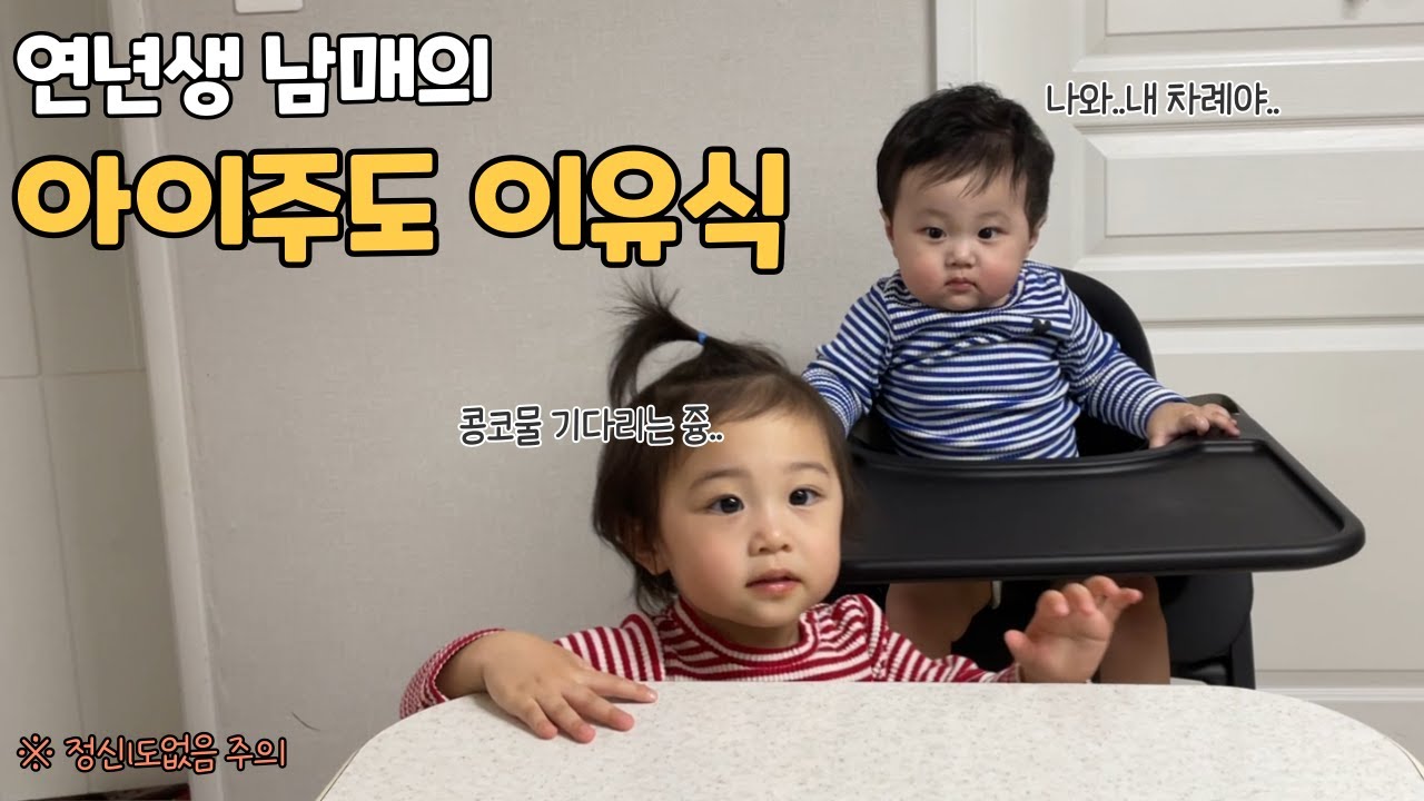 [SUB] 연년생 남매의 아이주도 이유식 ( 정신1도 없음 주의 🤷‍♀️  )