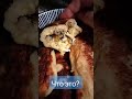 Сегодня  у меня появилось вдохновение