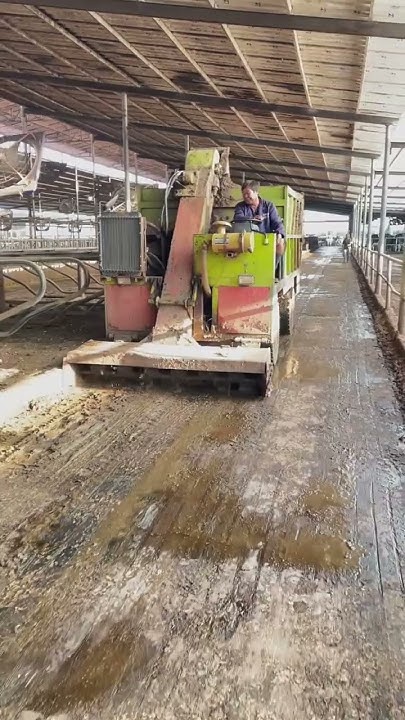 cow-dung-cleaning-machine-youtube