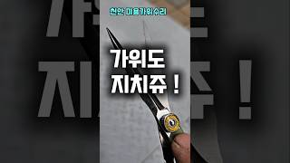 찝히는 미용가위수리 수리문의 010 5592 5313 택배환영 가위수리맛집