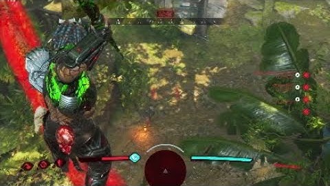 Predator Hunting Grounds: Fireteam Bug!