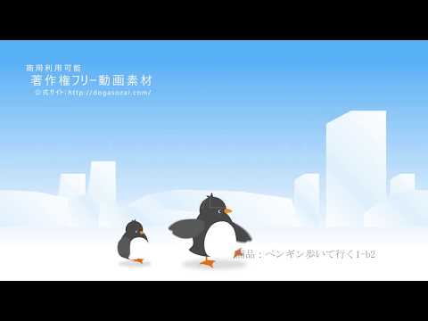 著作権フリー動画素材 商用利用可 ペンギンシリーズ Youtube