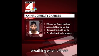 Man Arrested After Allegedly Dumping Dog With Larger, Violent Dogs