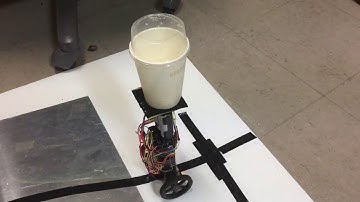 Self balancing + line follower robot (1)