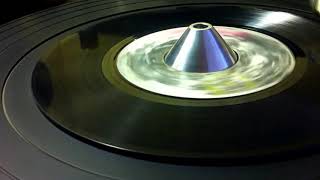 Super Cat - Wild Apache