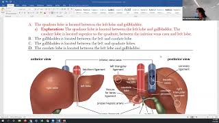 NPLEX I Practice Exam II Answer Review screenshot 2