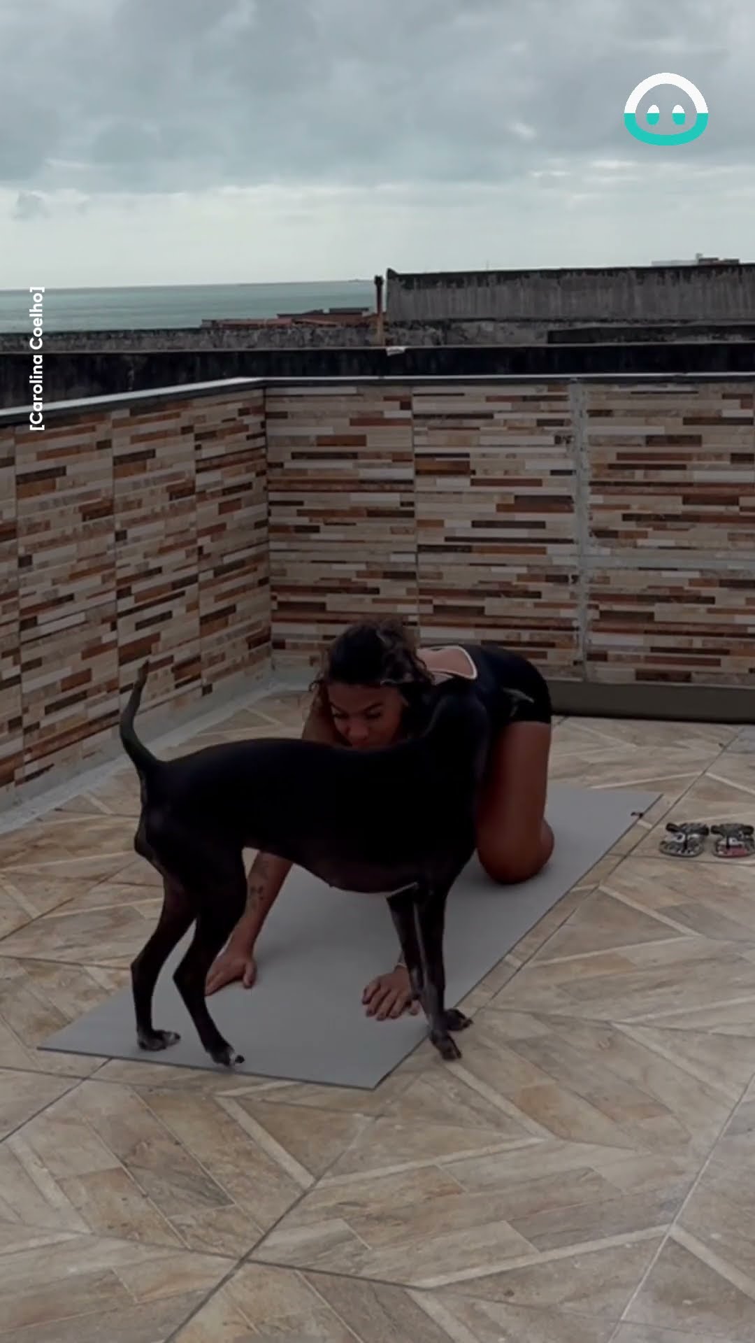 Dog Joins The Yoga Session || ViralHog