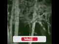 Scary Encounter #caughtoncamara #horror #scary #creepyencounter #ghost #unexplained #mystery #viral