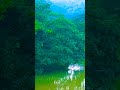 River on ❤️sudugaga ❤️in Sri Lanka 💚