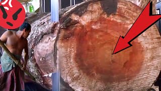 Suddenly Rich || Sawing Redwood That Sells Fantastic || sawmill