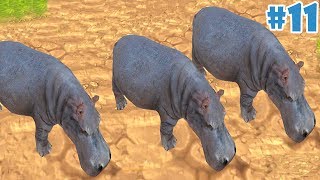 Farm Animal Family: Online Sim - Group of Hippopotamus - Android/iOS - Gameplay Episode 11 screenshot 5