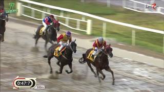 20160902 렛츠런파크 부산경남 7경주 1200m