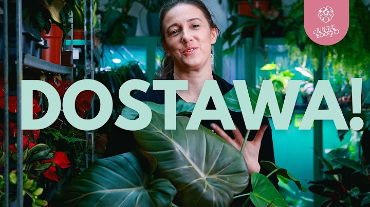 DOSTAWA jak z BAJKI i kolejny nowy filodendron - musicie to zobaczyć! 😍🪴😻
