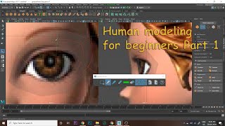 Human modeling for beginners | Part 1 | 3D Modeling | Human Face Modeling