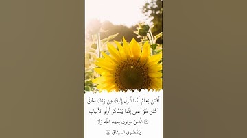 تلاوة في دقيقة | سورة الرعد | الآيات ١٨ -  ٢١ | الشيخ ياسر الدوسري
