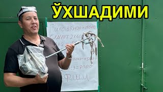 УЙ ШАРОИТДА БИЗНЕС БОШЛАШ 1000 $ БИЛАН