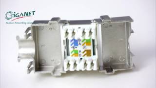 Category 6A Connector - Giganet