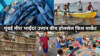 Mira Bhayandar Uttan | Uttan Beach Fish Market | Bhayandar Fish Market | मुंबई सुखी मच्छी मार्केट