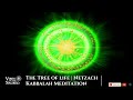 The tree of life  netzach  arbol de la vida   kabbalah meditation