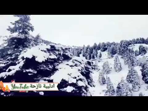 لعشاق الثلج فيروز ثلج ثلج حالات واتساب