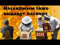 Паспортизация на пасеках.