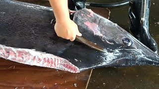 150 kg Giant Marlin sliced into Sirloin Parts.马林切片