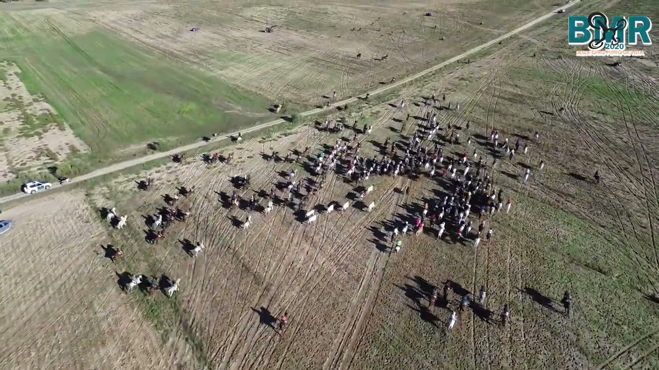 Encierro por el campo Nava de la Asunción  Sábado 23 de Septiembre del 2023