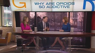 Panel Discussion: Why Are Opioids So Addictive?
