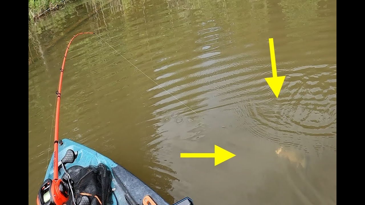 FISHING MISSISSIPPI’S BEST BASS LAKE! Non-stop Action!