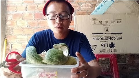 Bón Rác Thải Nhà Bếp Trực Tiếp Cho Cây Trồng