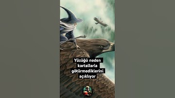 Neden Yüzüğü Kartallarla Götürmediler? Tolkien Açıklıyor! #yüzüklerinefendisi #lordoftherings