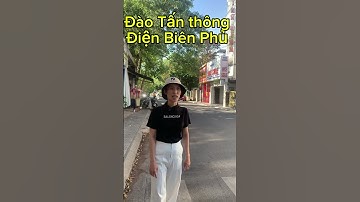 Bán đất mặt tiền đường Phan Bội Châu tp Huế khổ 100m2 ngang 8 0789126954