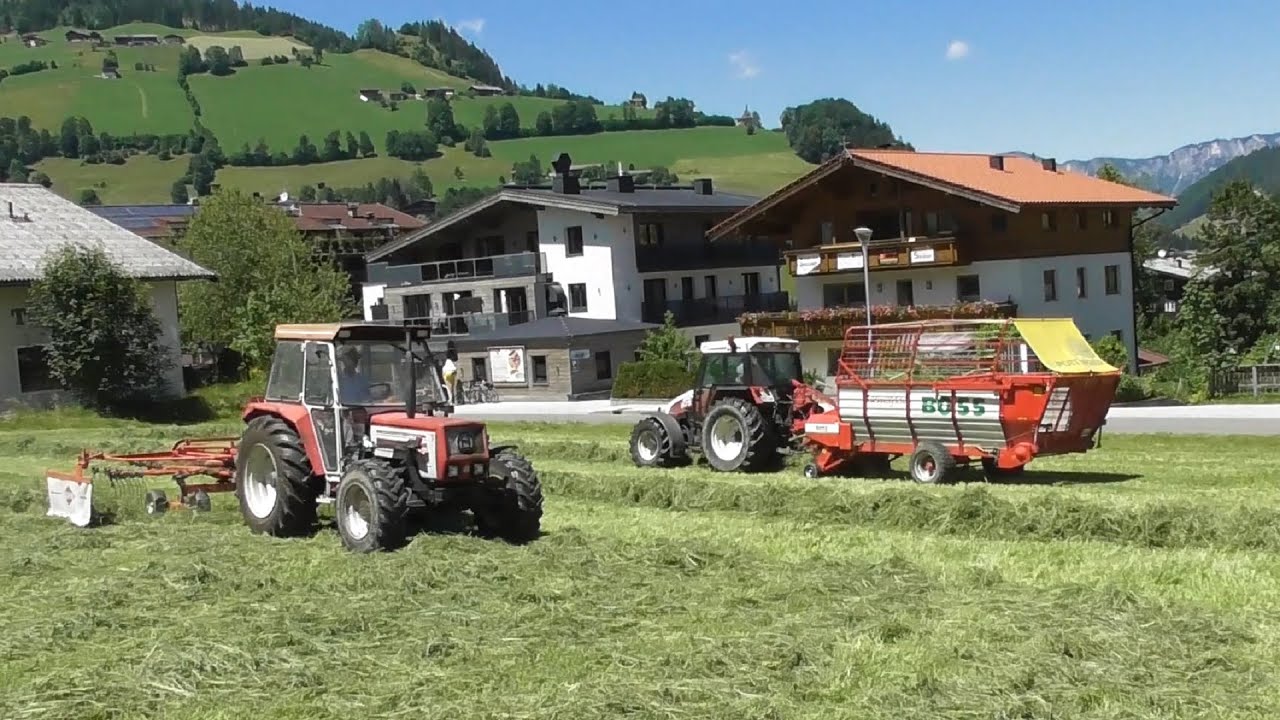 Hay making Austria
