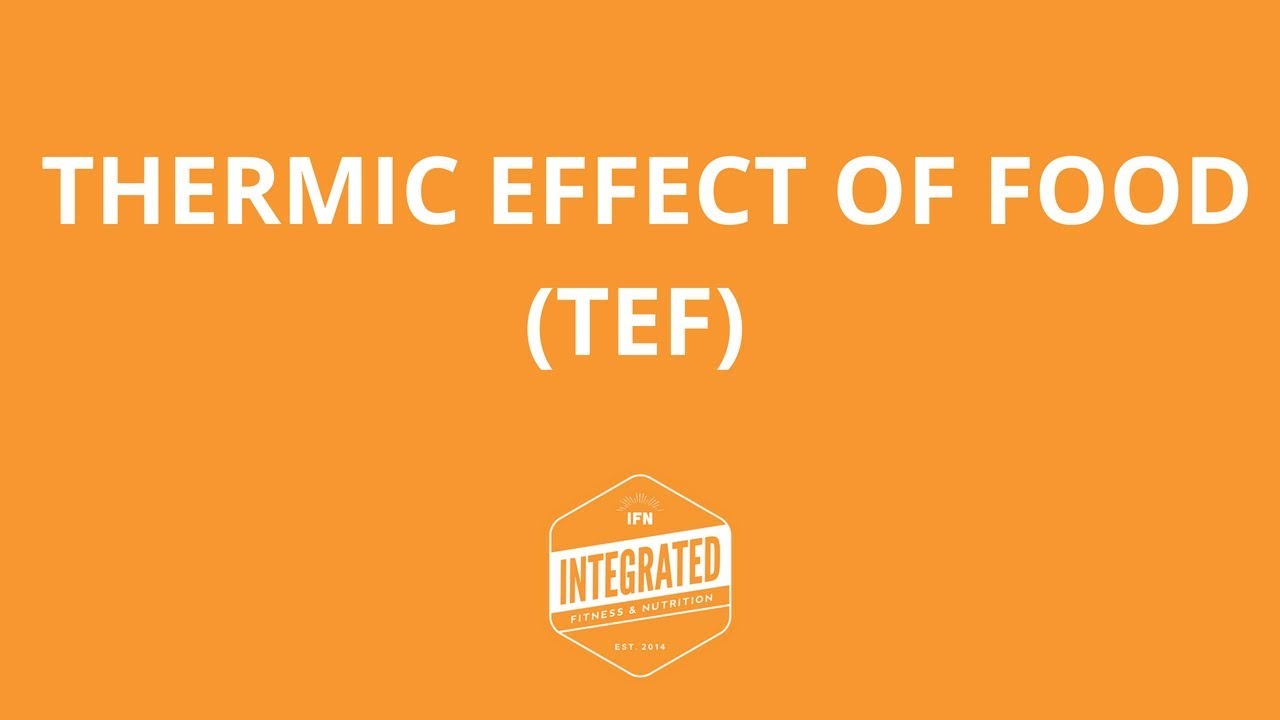The thermic effect of food (TEF) YouTube