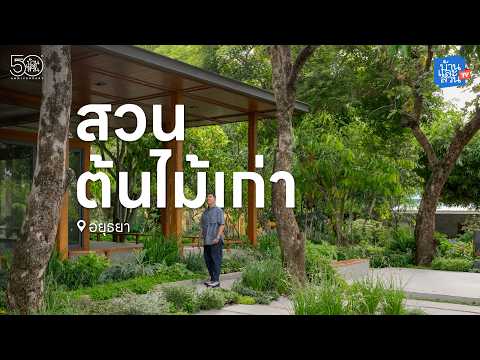 Old trees in a contemporary house in Ayutthaya Province | Home and Garden TV EP. 141