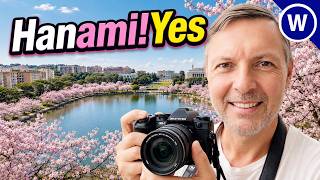🌸 Hanami al Laghetto dell’EUR | La magia dei ciliegi in fiore a Roma 🇯🇵