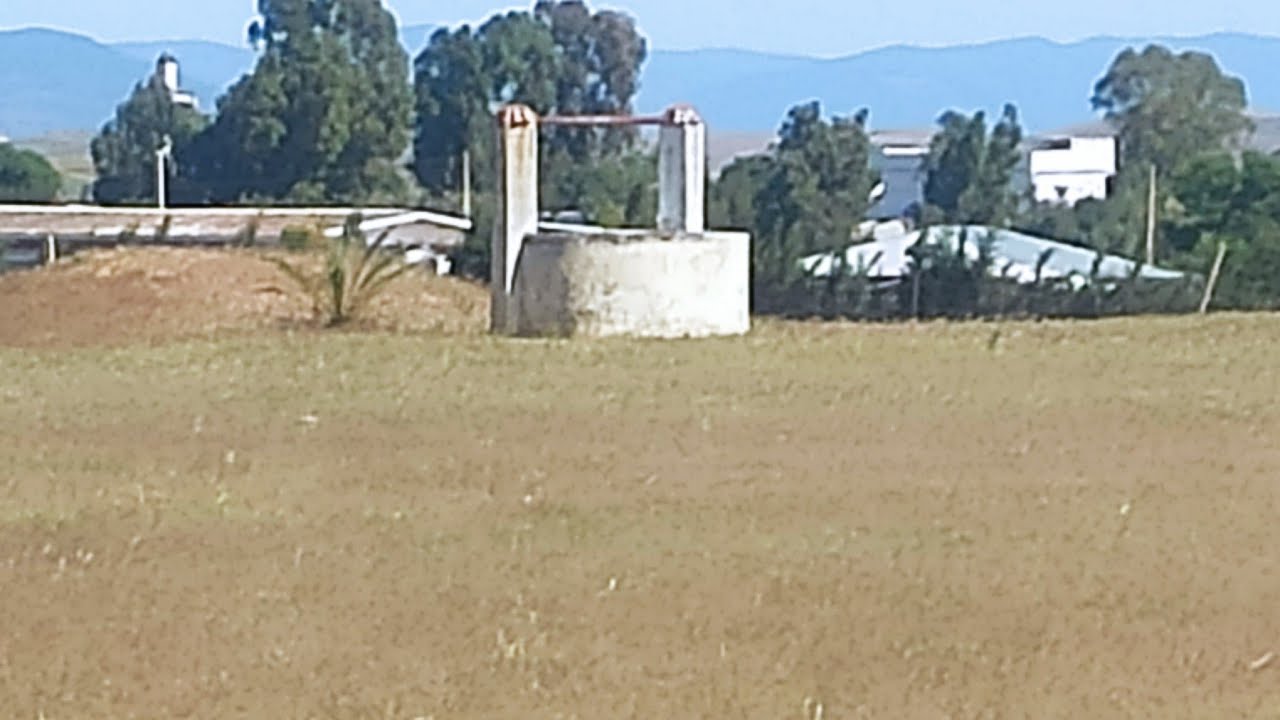 أرض للبيع محفضة أو مسيجا جات قريبة من الطريق الرئيسي حد الغربية تمن 120 درهم للمتر وفيها المفاهمة