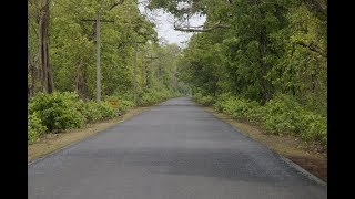 Selenium with Java Bangla tutorial series 011