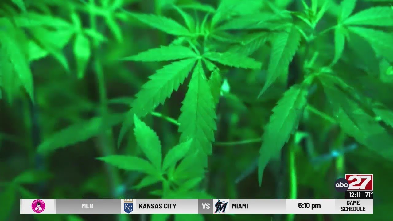 Pennsylvania House Resolution 420 would urge remove cannabis as a controlled substance