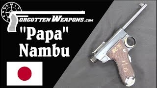 Japan's Interim Handgun: The 