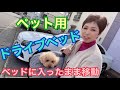 ペット用ドライブベッドキャリー