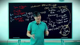 Game Theory #26 - AI Empire Explained Part 1