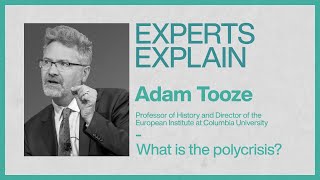 Experts Explain | Adam Tooze | What is the polycrisis?