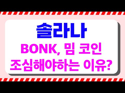   솔라나 BONK 밈코인 출시 이제 대세 상승 시작