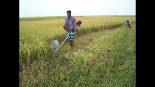 Grass cutter / Rice Harvester / Tiller