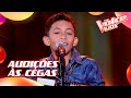 Alejandro rodrigues canta andorinha machucada nas audies s cegas  the voice kids 8 temporada