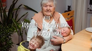 ВЛОГ: едем к прабабушке! Зоопарк и танцующие брови))