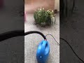 Video Image